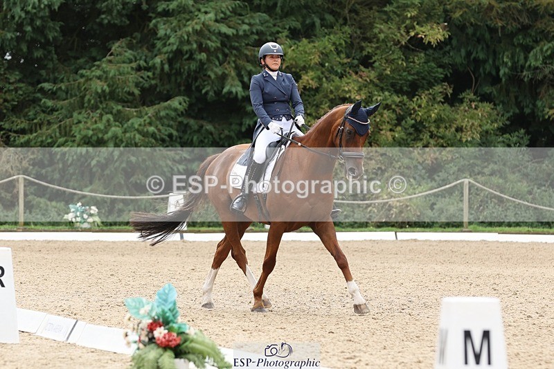 240810-140157-03420 - 110-Helen.Kitto-Da.Vinci.IV