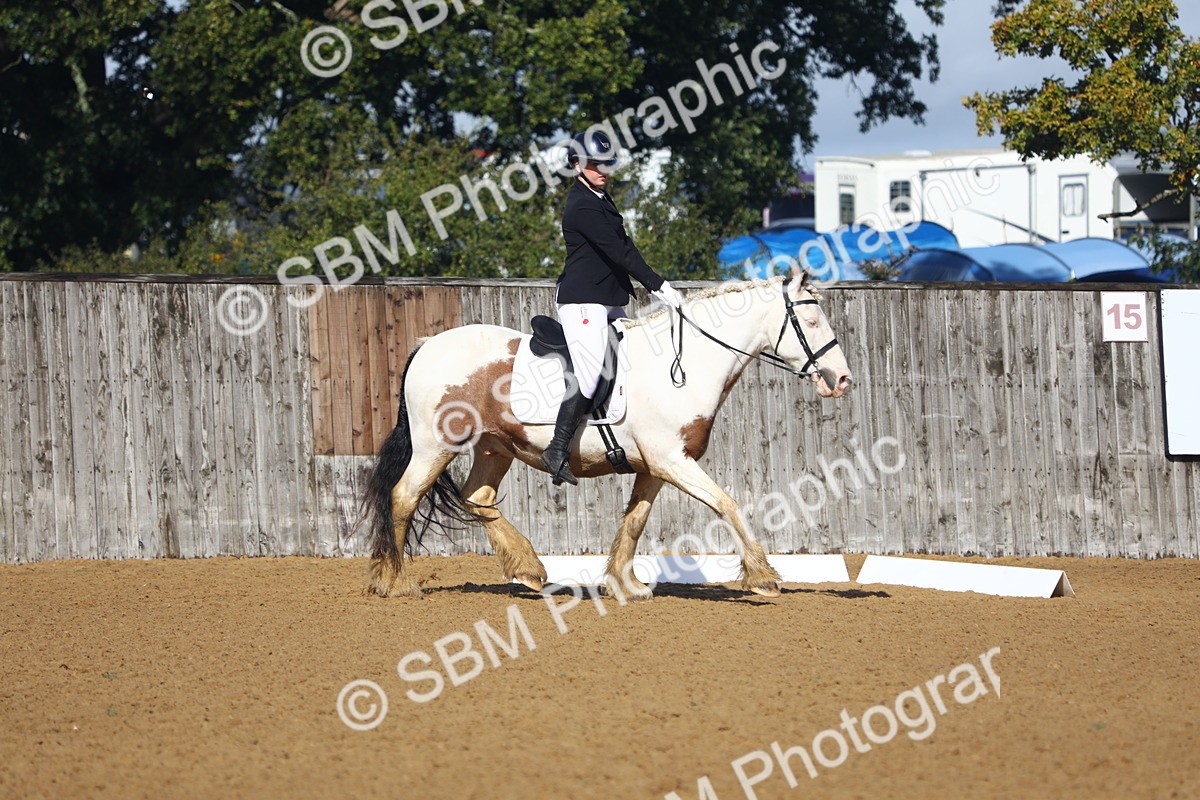 SBM_39000 - D21 - Junior Championship Intro 1