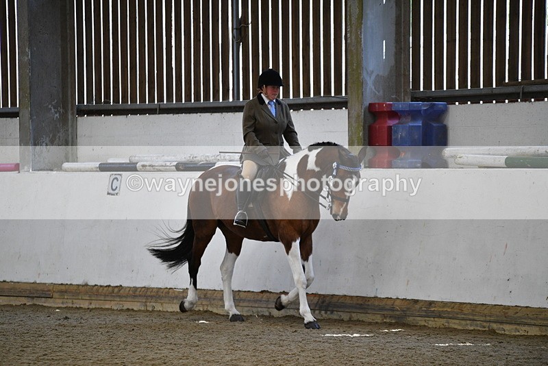 WJ5_5906 - Class 9 Ridden Veteran