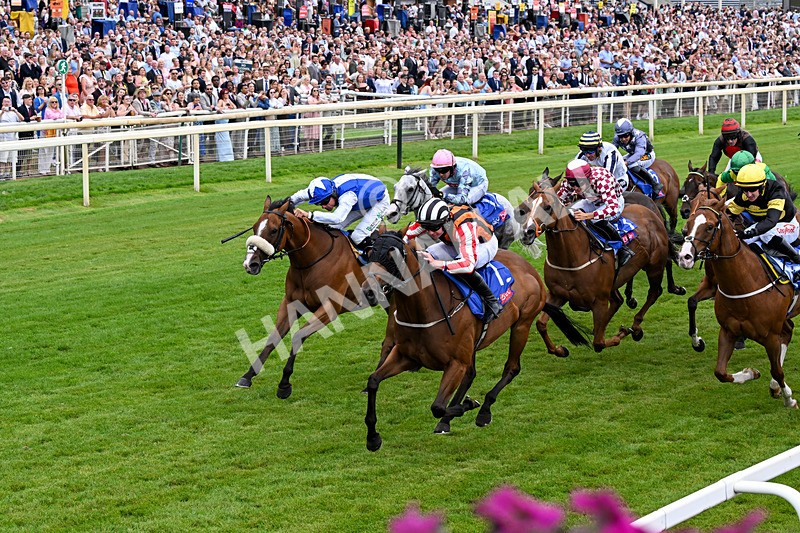 250726-Race 1-Kodiac Thriller-0547 - Race 1 13.30pm Sky Bet 'Jump Jockeys' Nunthorpe' Handicap