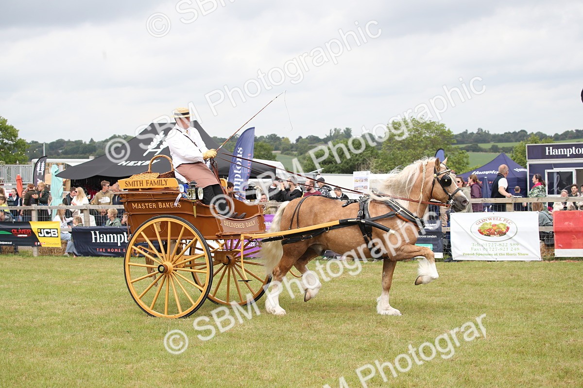 SBM_07063
