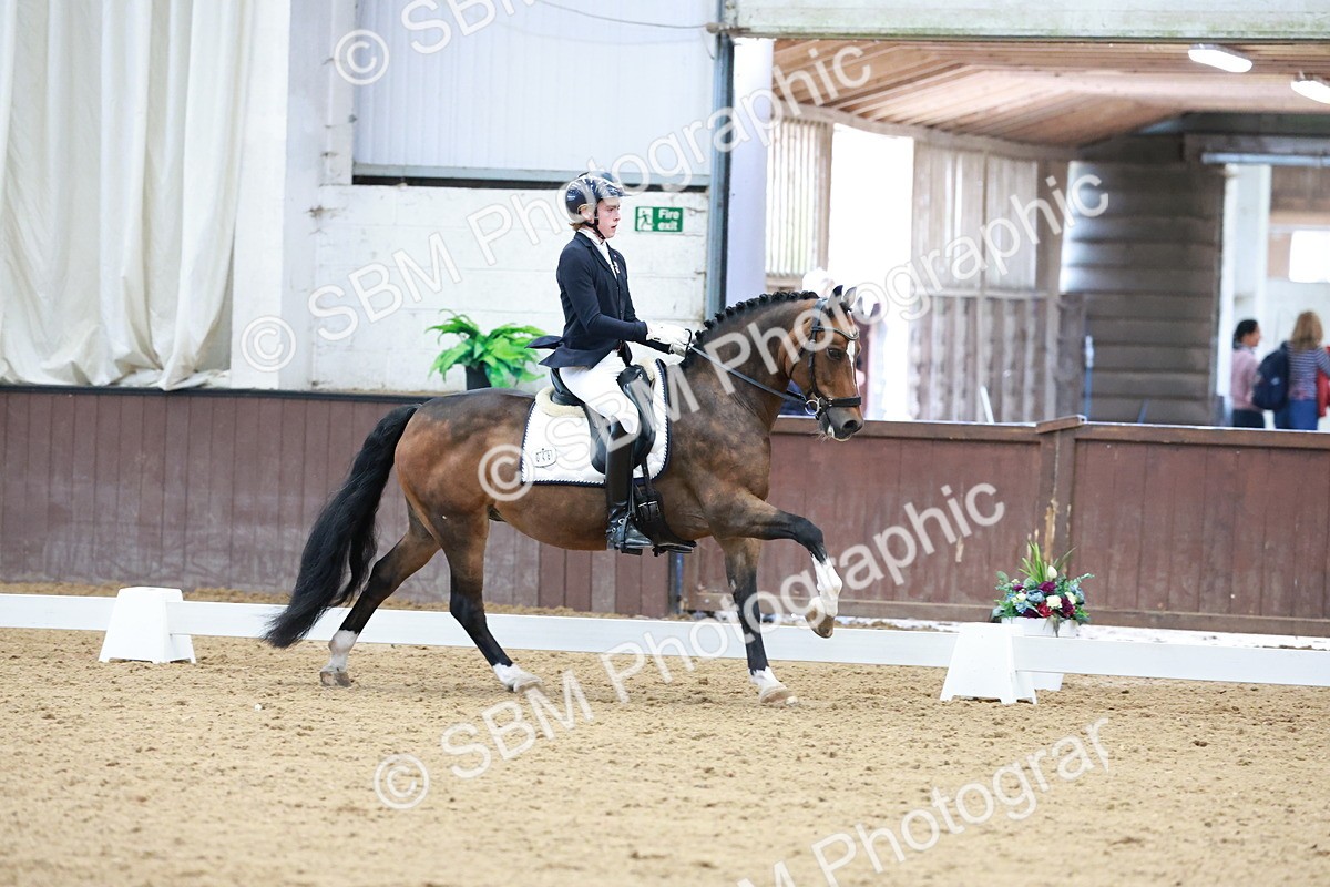 SBM_017151 - Class15 - FEI Pony