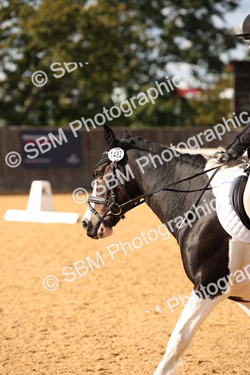 SBM_28168 - D11 - Small Tour Championship - Prelim 13