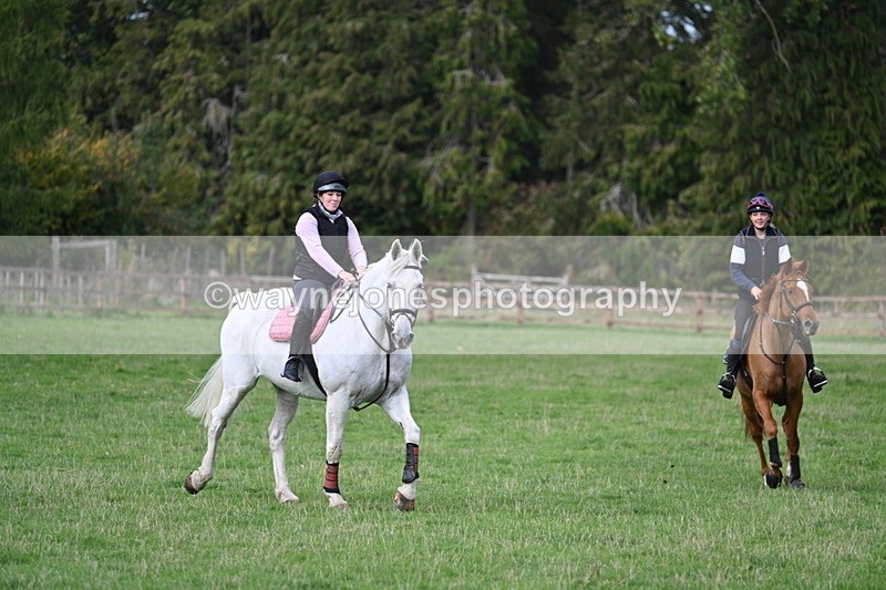 WJ7_9606 - Time 13:13 to 13:55