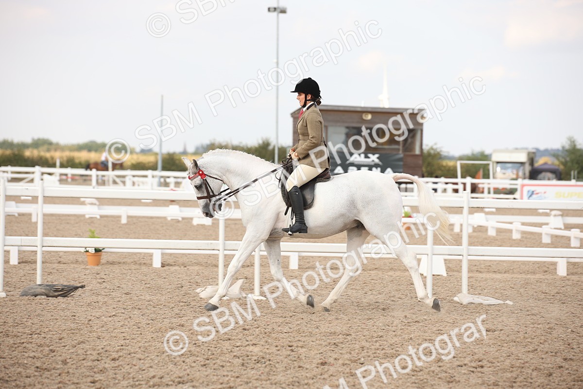 SBM_08785 - Class 12R Regional Ridden Pre-Vet