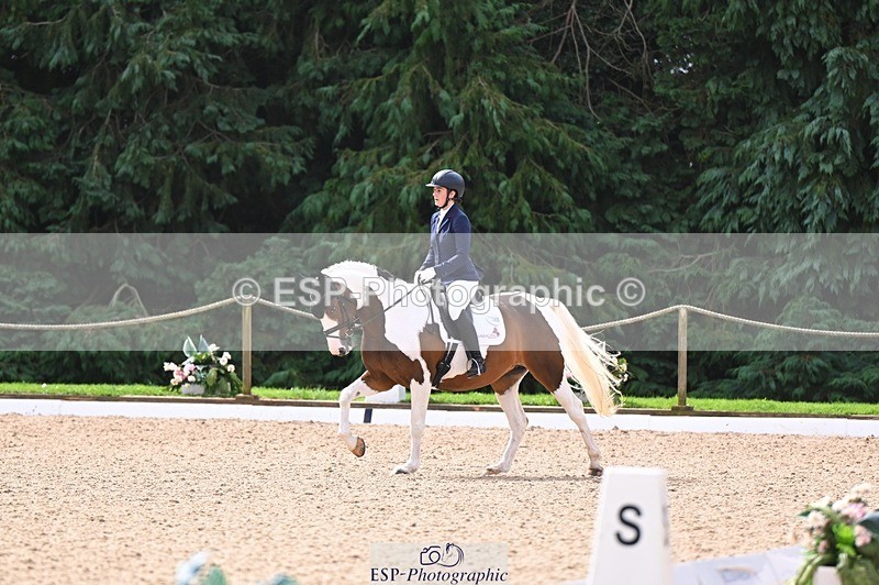 240809-103954-00358 - 160-Sian.Lowe-Pinecroft.Indigo