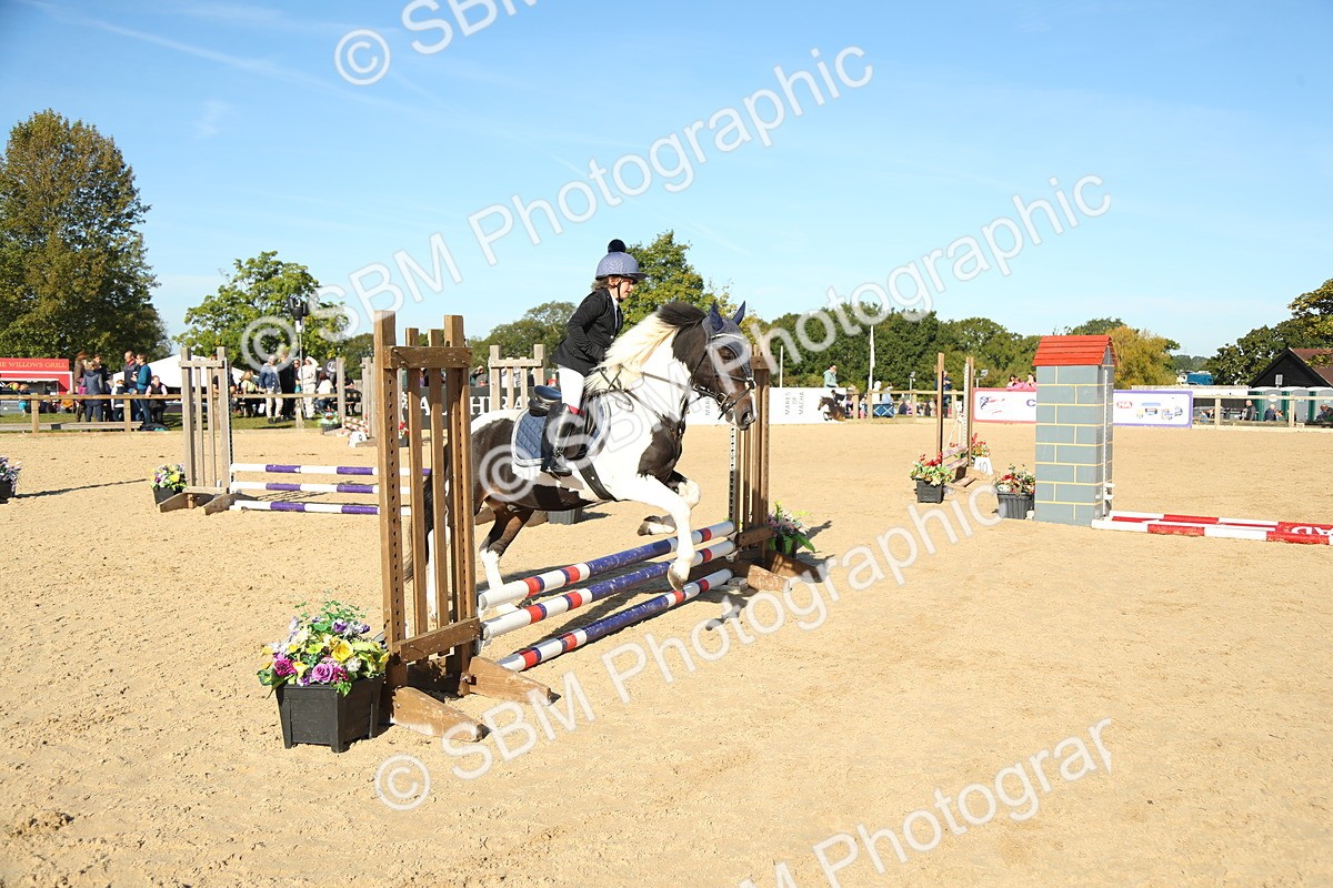 SBM_35897 - J5 - Junior Pony 50cm Championship