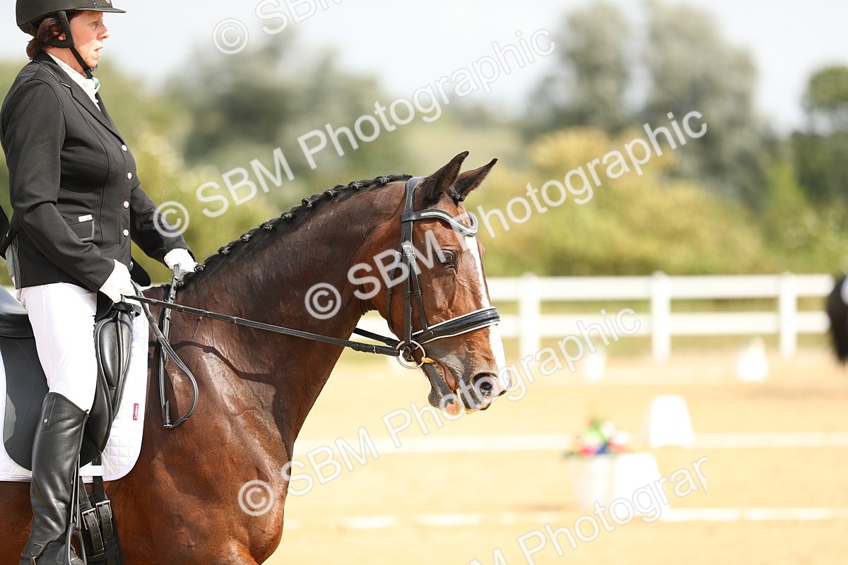 SBM_016364 - Class 13 - Novice 23 - 11.25-12.35