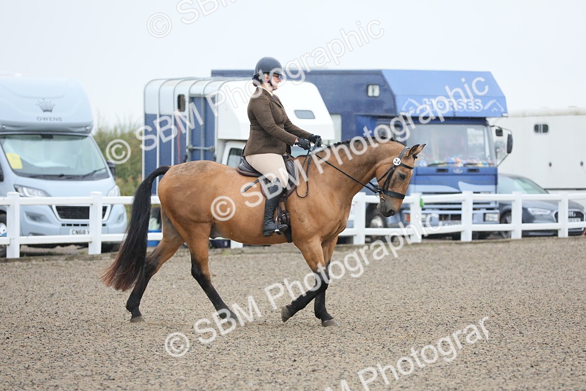 SBM_19834 - Class 801 - Ridden Veteran