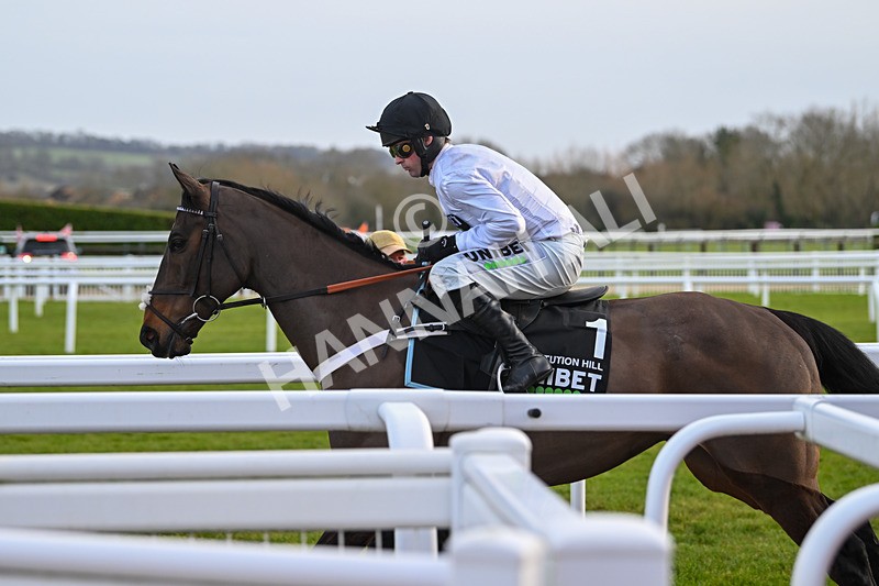 250125-Race 5-Constitution Hill-4615 - Race 5