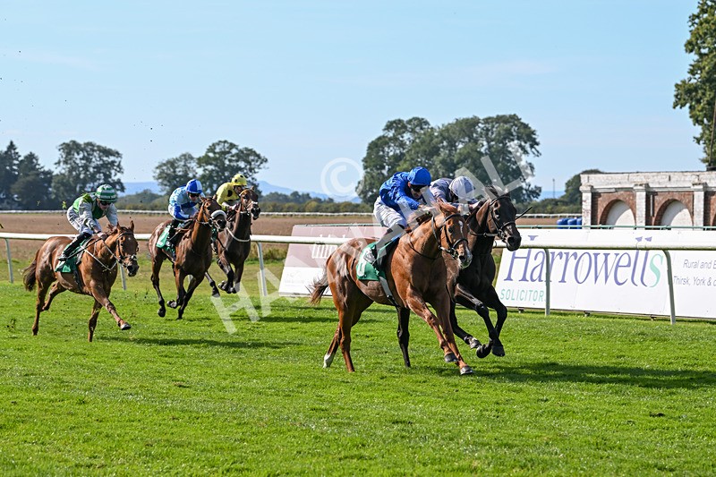 160924-Race 4-Watching Stars-2875 - Race 4