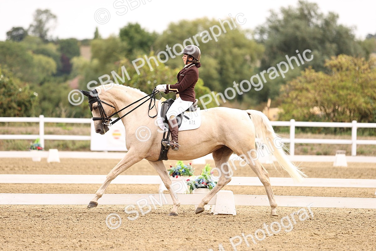 SBM_011516 - Class 1 - Medium 5