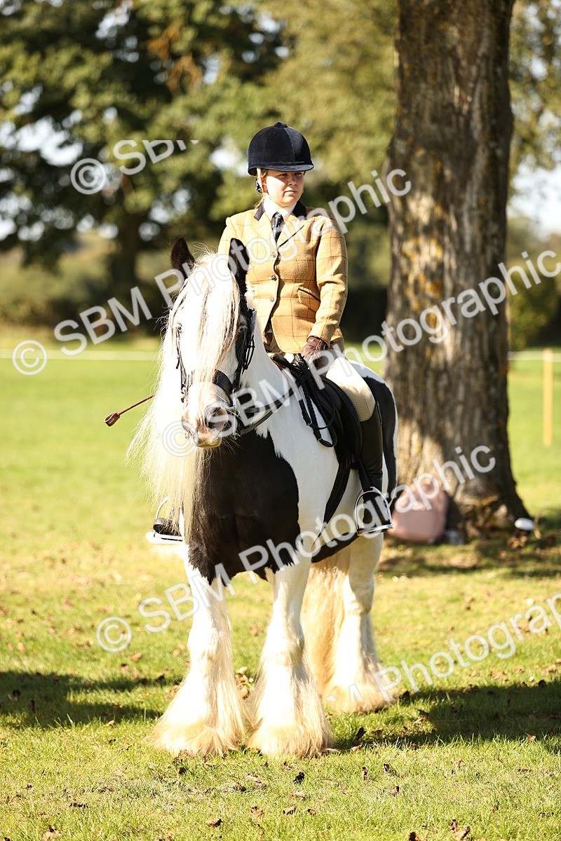 SBM_19180 - S3 - TSR Ridden Pony Showing