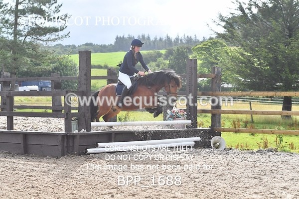 BPP_1688 - DERBY CLASS 4 - 50CM