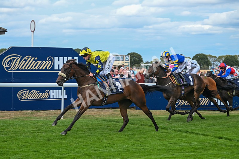 300825-Race 4-Lady Britain-1284 - Race 4