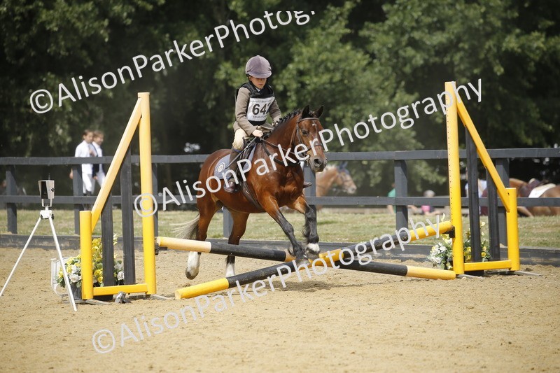 20250622-4078 - 50cm