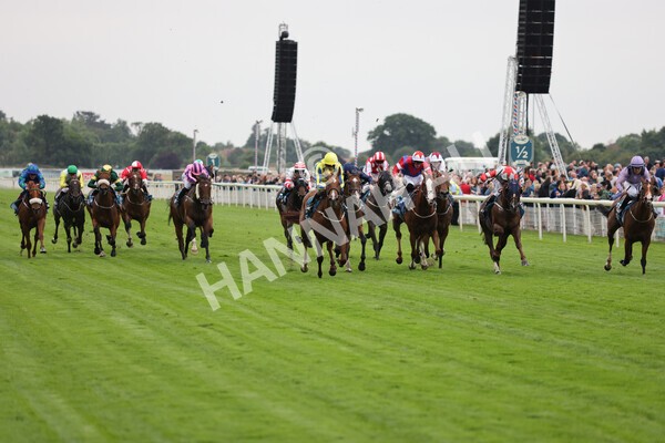 yr22072022r3-44 - Race 3 6.20pm Tomahawk Stakes