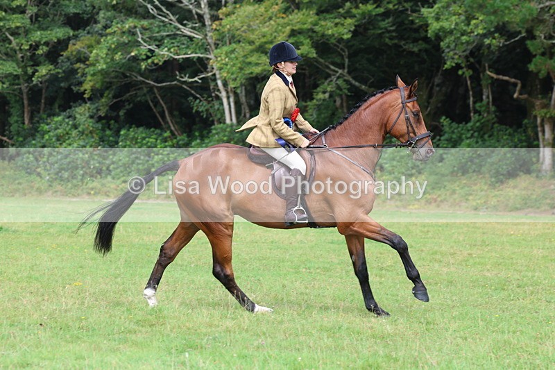 3E7A6213 - Working Hunter Championship