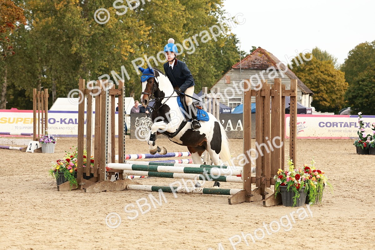 SBM_57690 - J11 - Junior Pony 50cm Championship