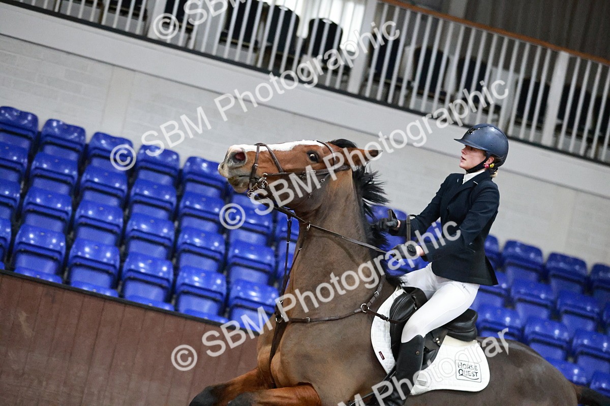 SBM_004450 - Class 17 - Senior Newcomers - 1.10m