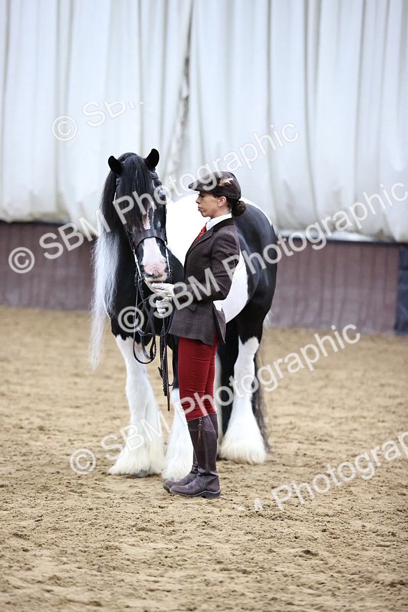 SBM_5674 - Class 40 - RESS In Hand Qualifier