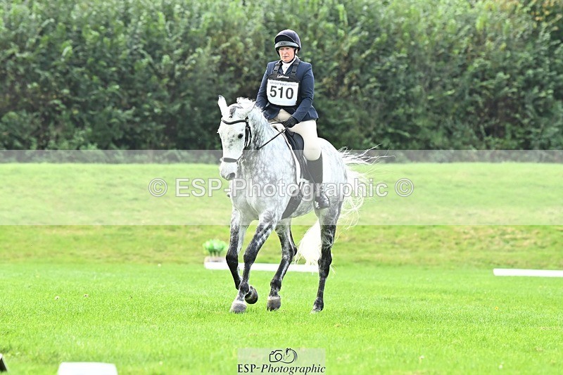 241024-115245-02522 - 510-Kathryn.Virjee-BROWNSTOWNS.SEAWATCH