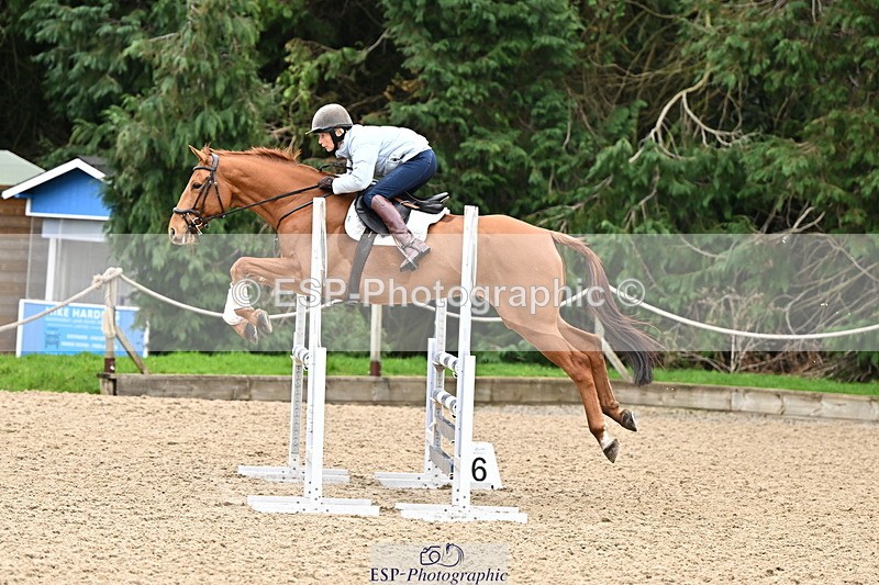 250201A-115857-00559 - Cls 02 Local Horse 100cm