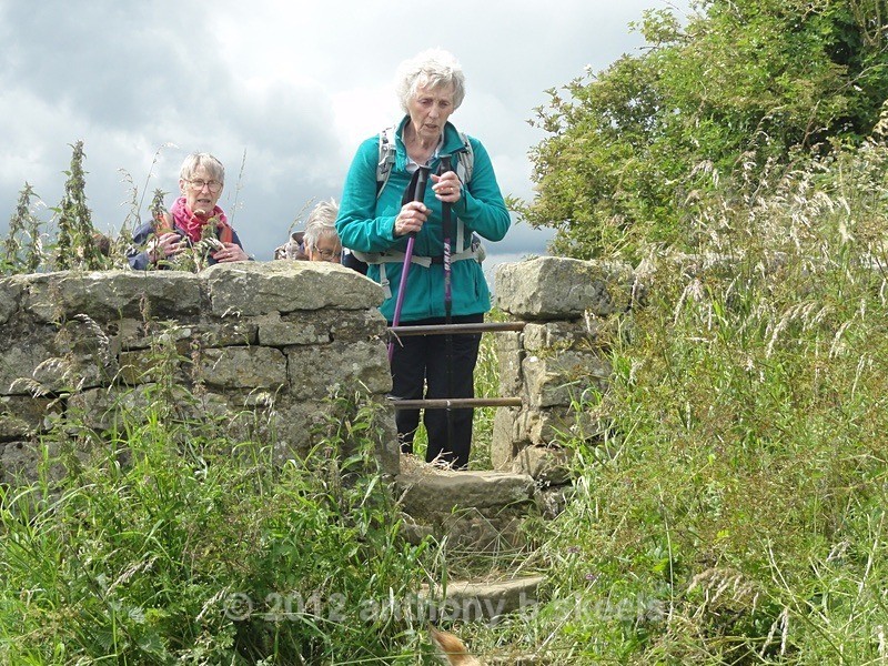 067 Aproaching a stile at Ingham Whinn - York Minster Walkers Collection 2024