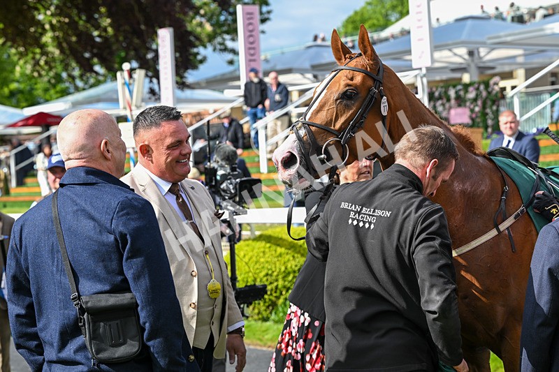 150526-Race 6-Fortification-8558 - Race 6 4.40pm Irish Thoroughbred Marketing Handicap
