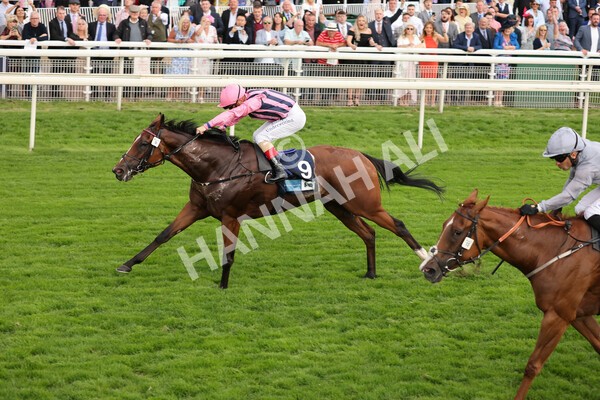 yr19082021r7-18 - Race 7 5.20pm British Stallion Studs EBF Fillies' Stakes