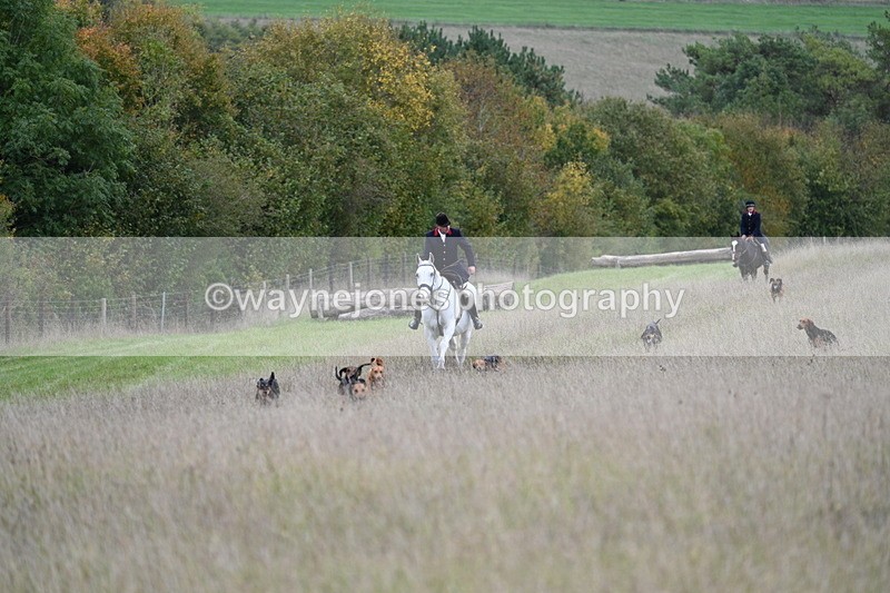 WJ7_3549 - Camera 1 Line 1