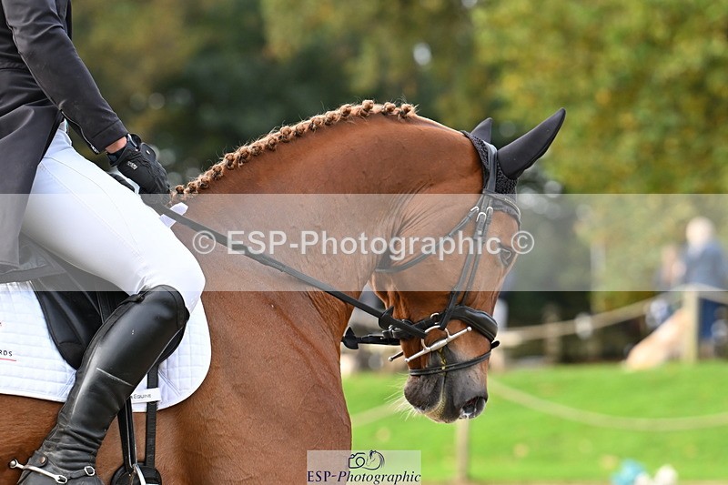 251023A-095440-01364 - B-125-Ben.Edwards