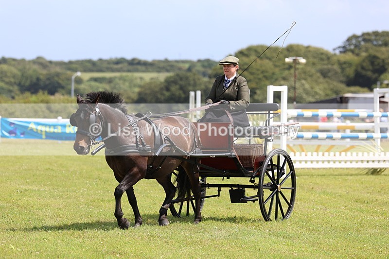 3E7A2711 - Class 12: Open Driving