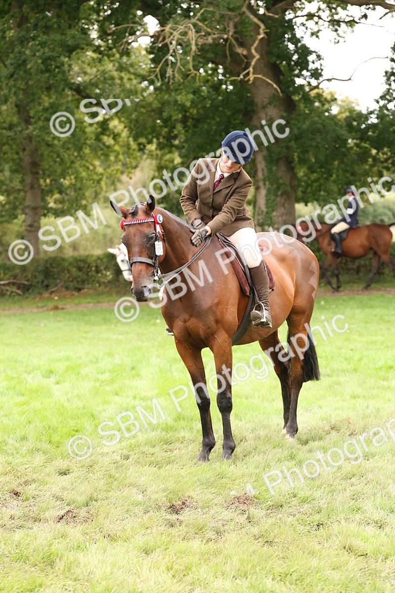 SBM_64269 - S65 - Riding Horse & Hack & Thoroughbred Ridden