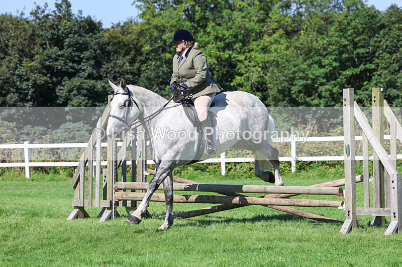 3E7A8246 - Class 4: Novice working Hunter