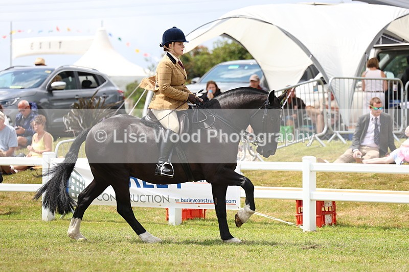 3E7A1919 - Class 10: Open Cob