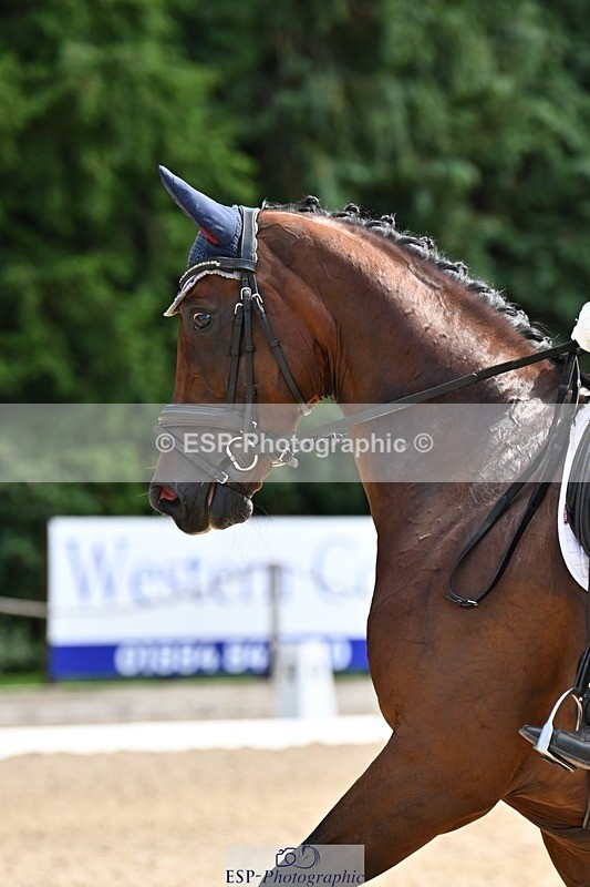 240811-143034-06380 - 231-Louise.Hutchinson-Donnarella