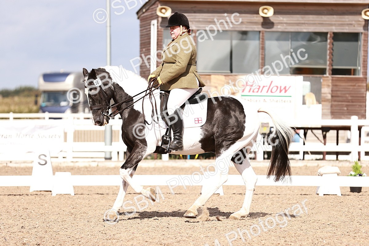 SBM_06611 - Class 39 - Medium 3