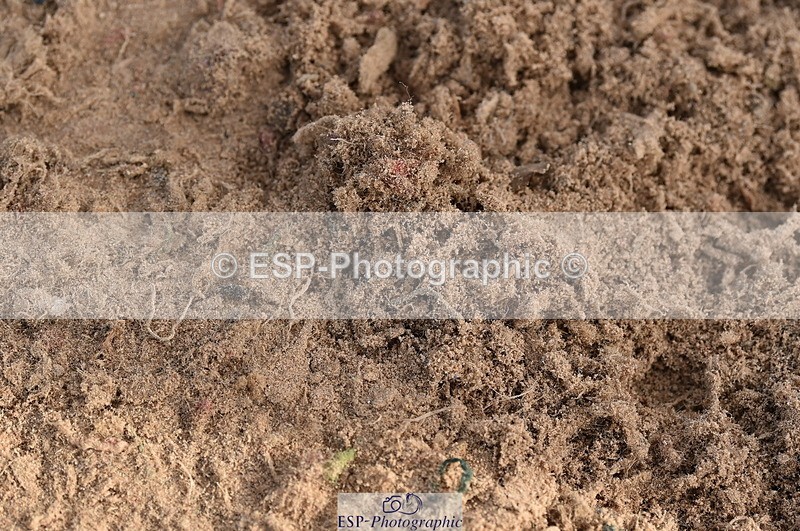 231015A-143654-08748 - Cls 26 1.05m Grand Prix