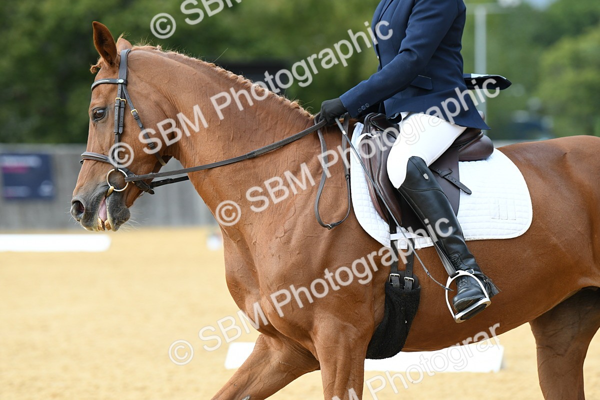 SBM_11011 - D28 Elementary Taster Elementary 42