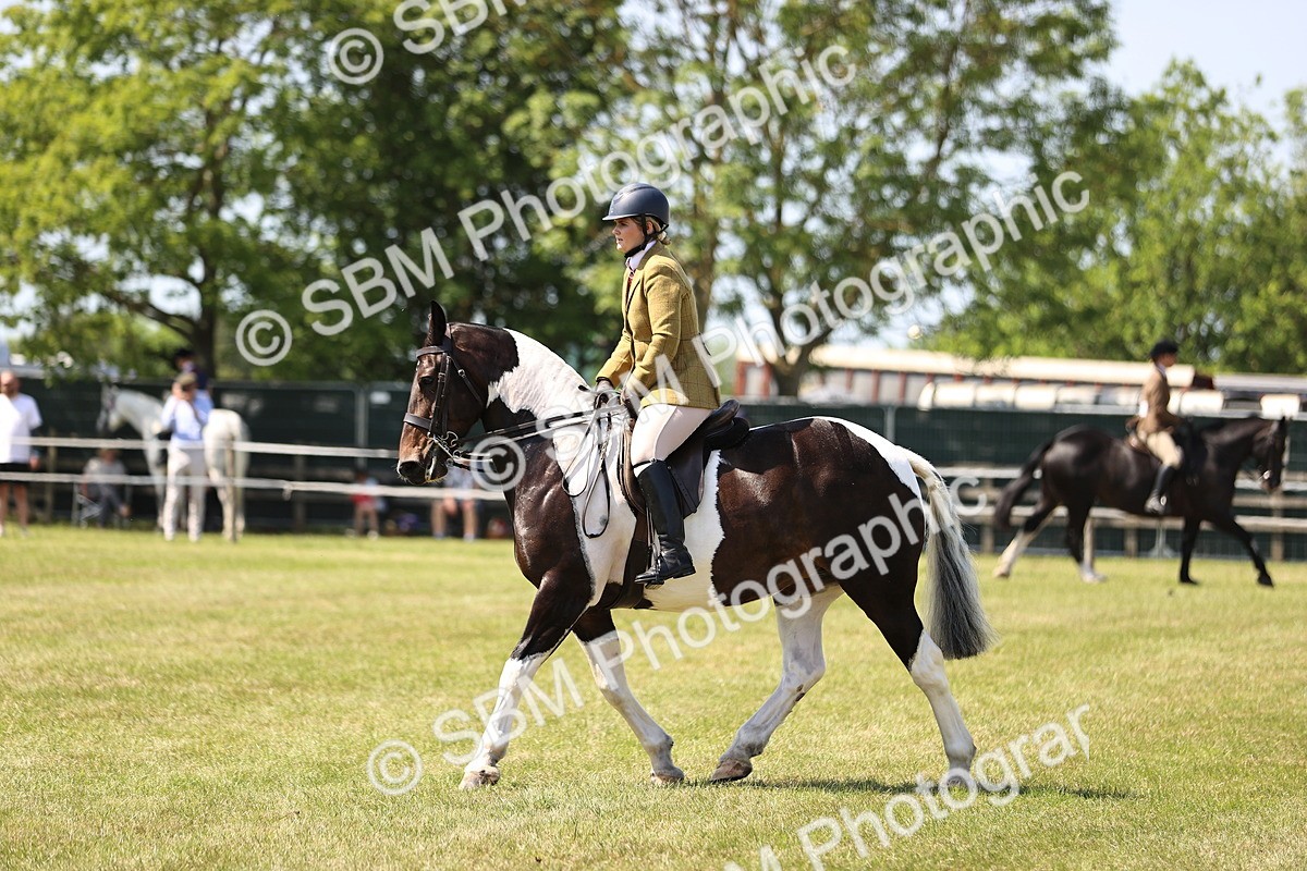 SBM_17853 - Class 81-83 - TSR Ridden Amateur of the Year - Horses