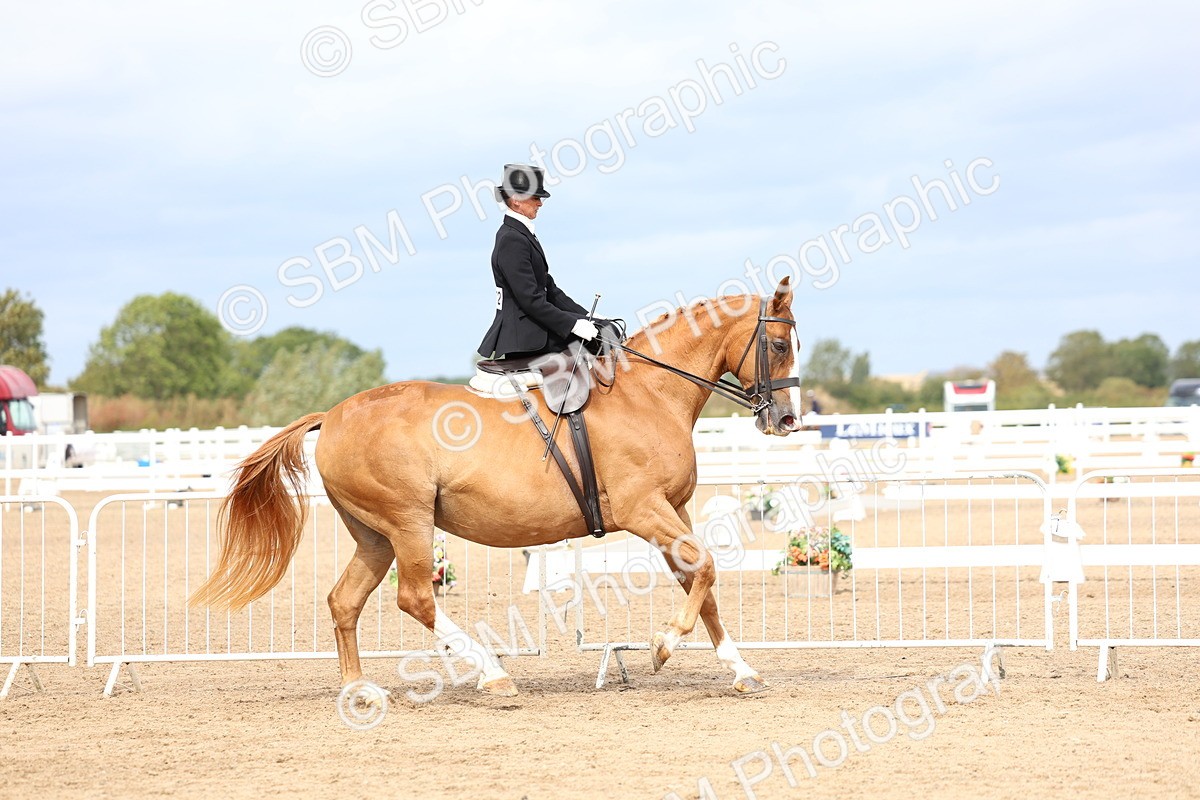 SBM_03407 - Class 24 - SSA Concours d'elegance (any age)