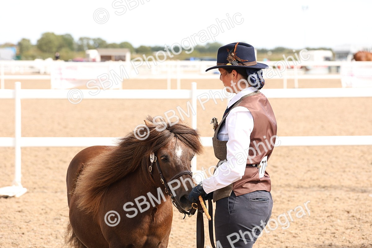 SBM_13980 - Class 205 - IH Show Pony - Show Hunter Pony