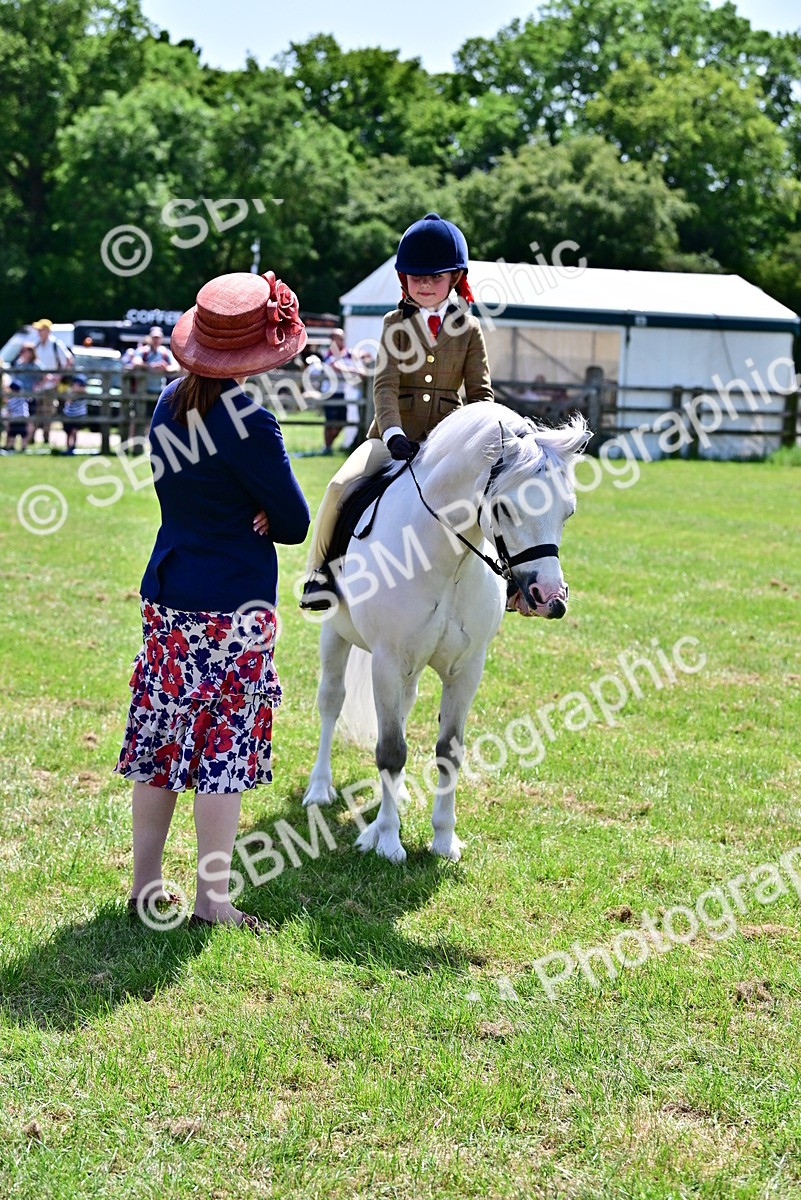 SBM_06073 - Class 59-60 - TSR M&M  Lear Rein and First Ridden Amateur of the year