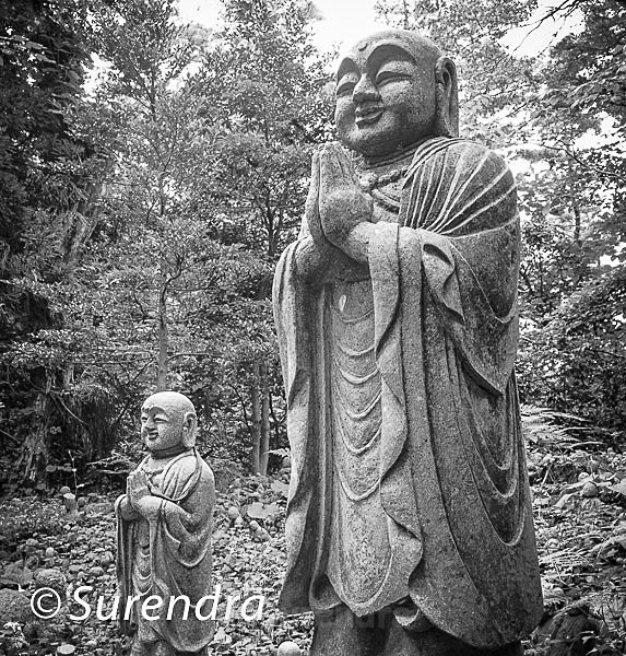 Nashinoki Jizo 1 - Jizo on Sado Island