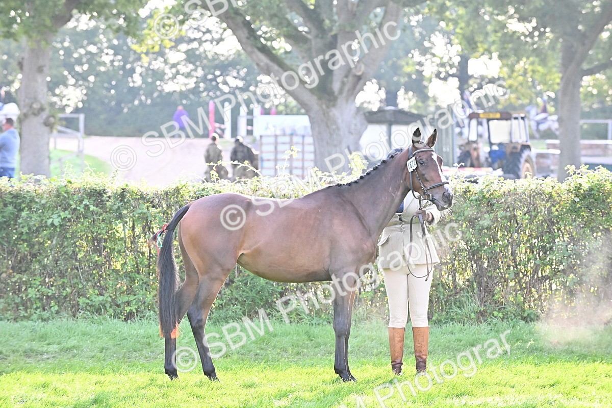 SBM_55335 - S44 - Youngstock In Hand
