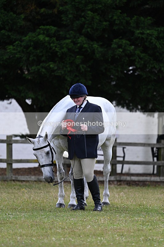 WJ7_7175 - Class 5a Most Handsome Gelding in Hand