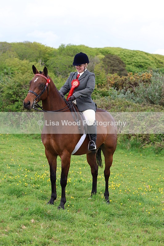 3E7A1895 - Class 9: Riding Club Horse/Pony