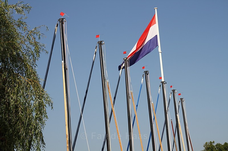  - Home in the Polder