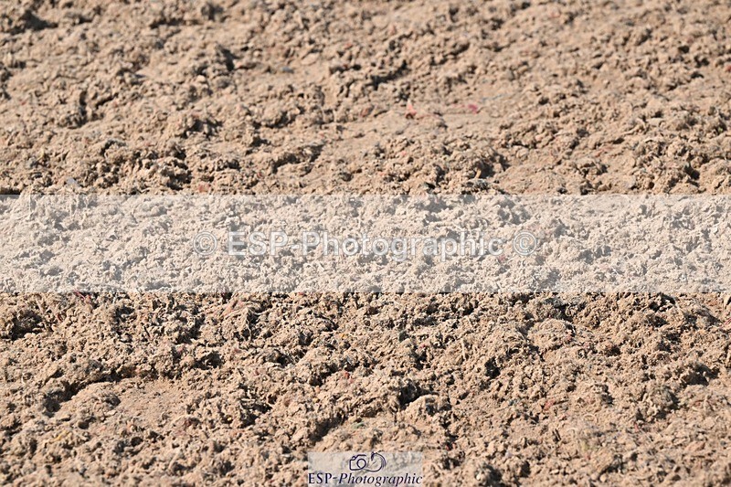 250404-142202-06598 - Cls 12 CoH Ind Presentations